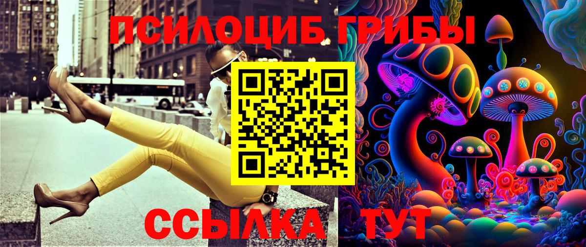 Псилоцибиновые грибы GOLDEN TEACHER Ижевск