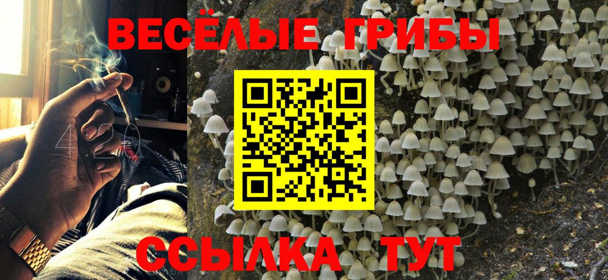 Псилоцибиновые грибы GOLDEN TEACHER  продажа наркотиков  Ижевск  Вход с VPN  Псилоцибиновые грибы GOLDEN TEACHER 